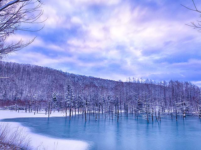 富良野