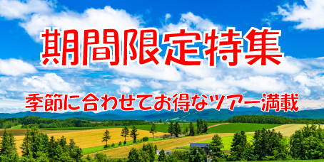 期間限定プラン