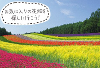 富良野・美瑛イメージ