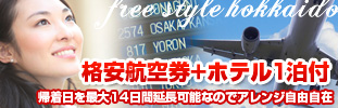 格安航空券＋ホテル1泊
