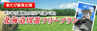 ぽっきり北海道周遊フリープラン