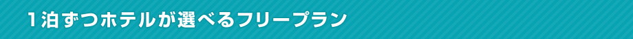 ホテルが選べる周遊フリープラン