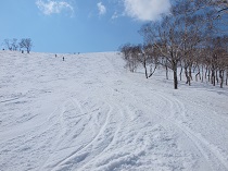 札幌　イメージ