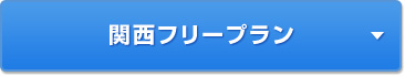 関西周遊フリープラン