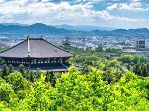 奈良公園　イメージ