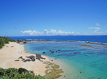 徳之島　イメージ