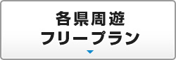 各県フリープラン