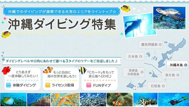 沖縄でのダイビングが満喫できる充実のエリアをラインナップ☆　沖縄ダイビング特集