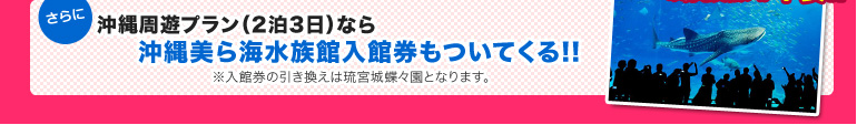 沖縄周遊プラン（2泊3日）なら沖縄美ら海水族館もついてくる！