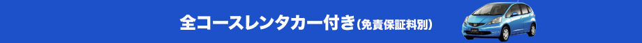 全コースレンタカー付
