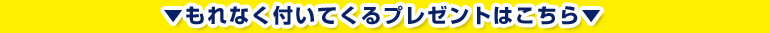 もれなく付いてくるプレゼントはこちら♪