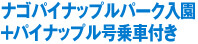 ナゴパイナップルパーク入園＋パイナップル号乗車付き