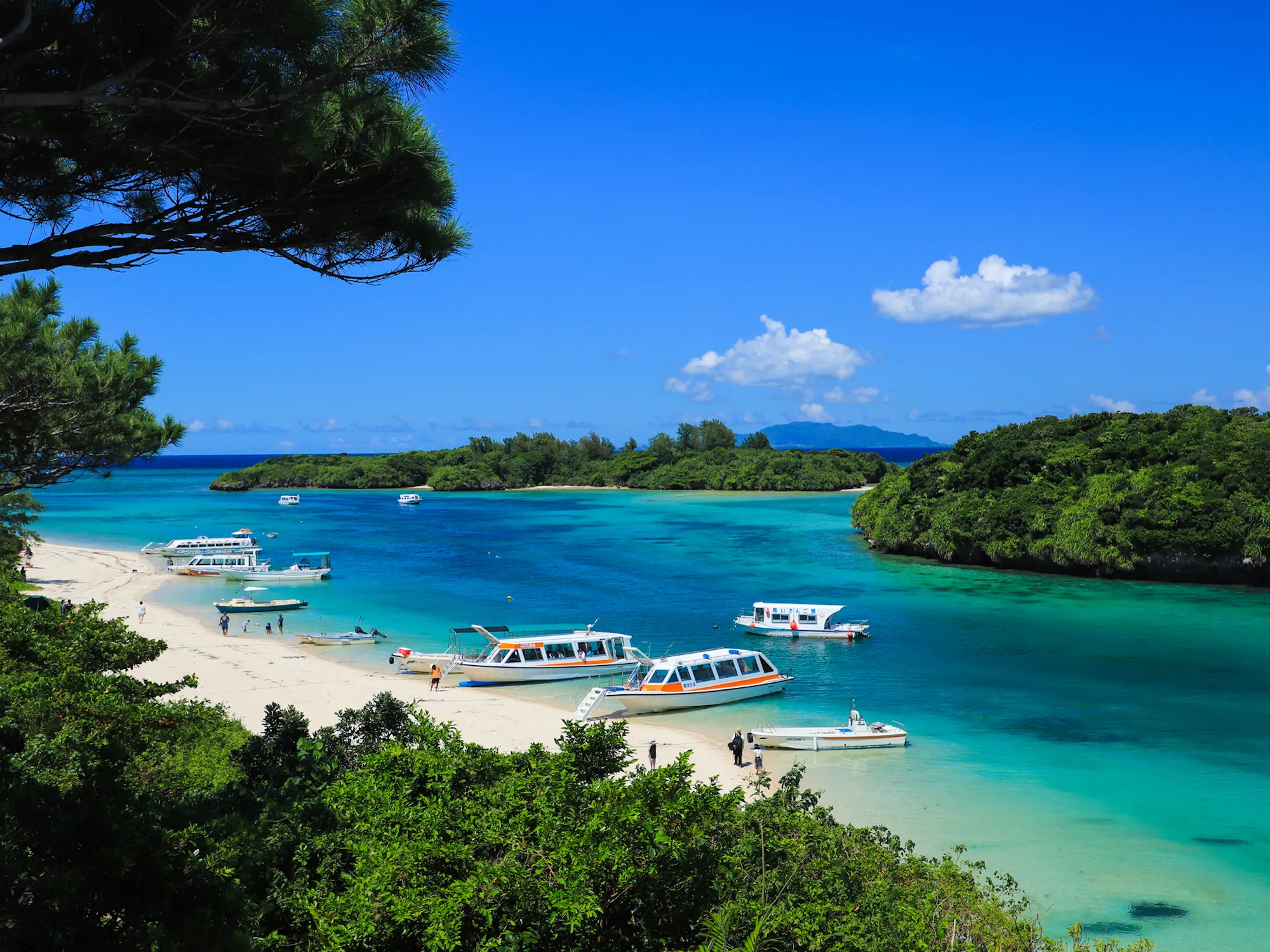 石垣島（西表・小浜・竹富）