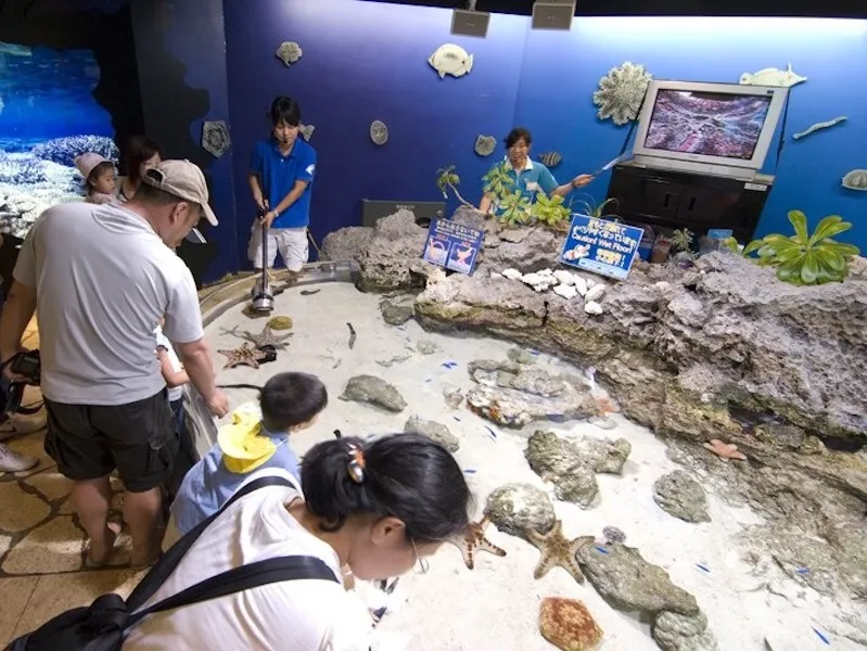 沖縄美ら海水族館入館券付きツアー特集