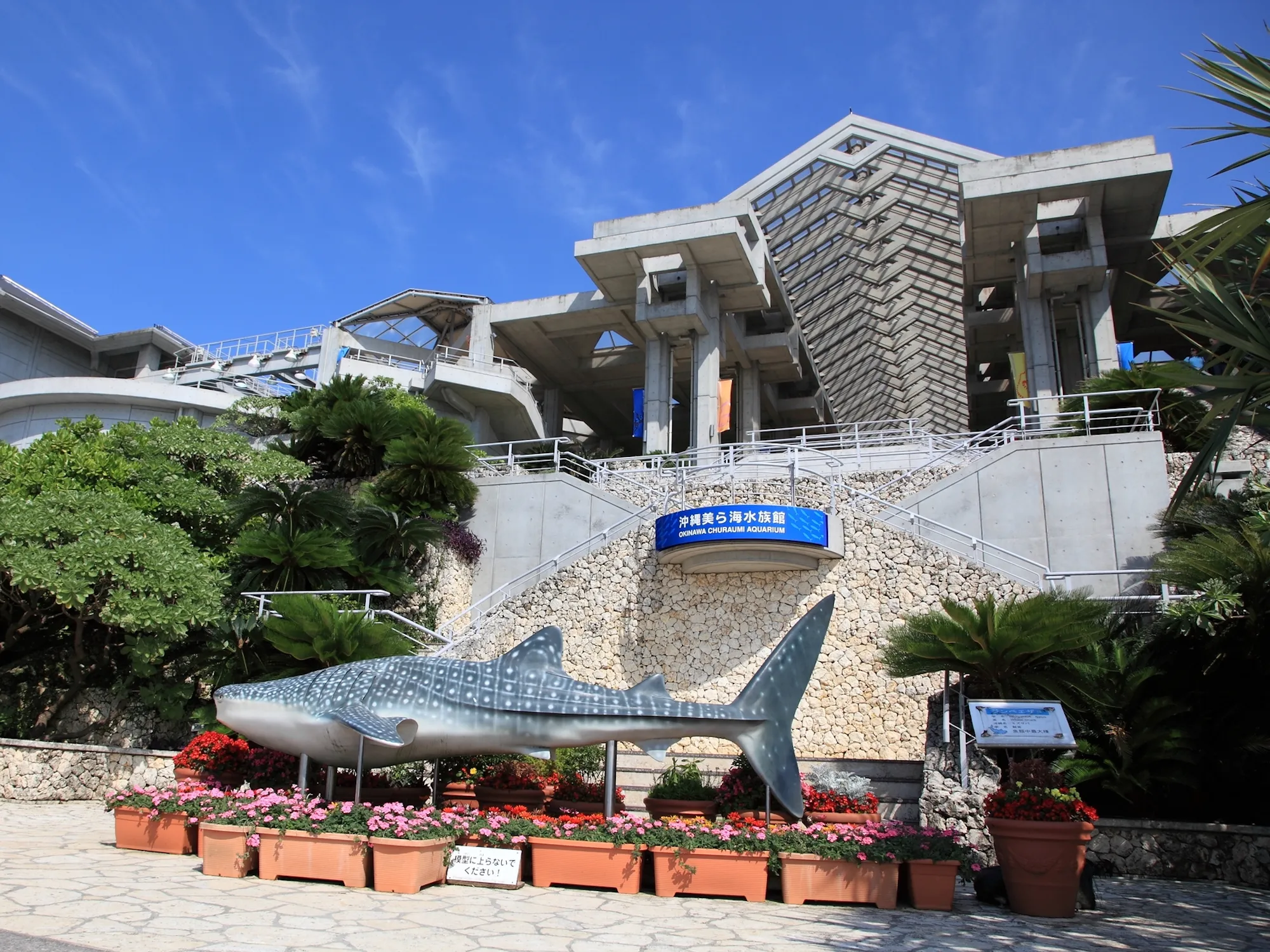 沖縄美ら海水族館入館券付きツアー特集