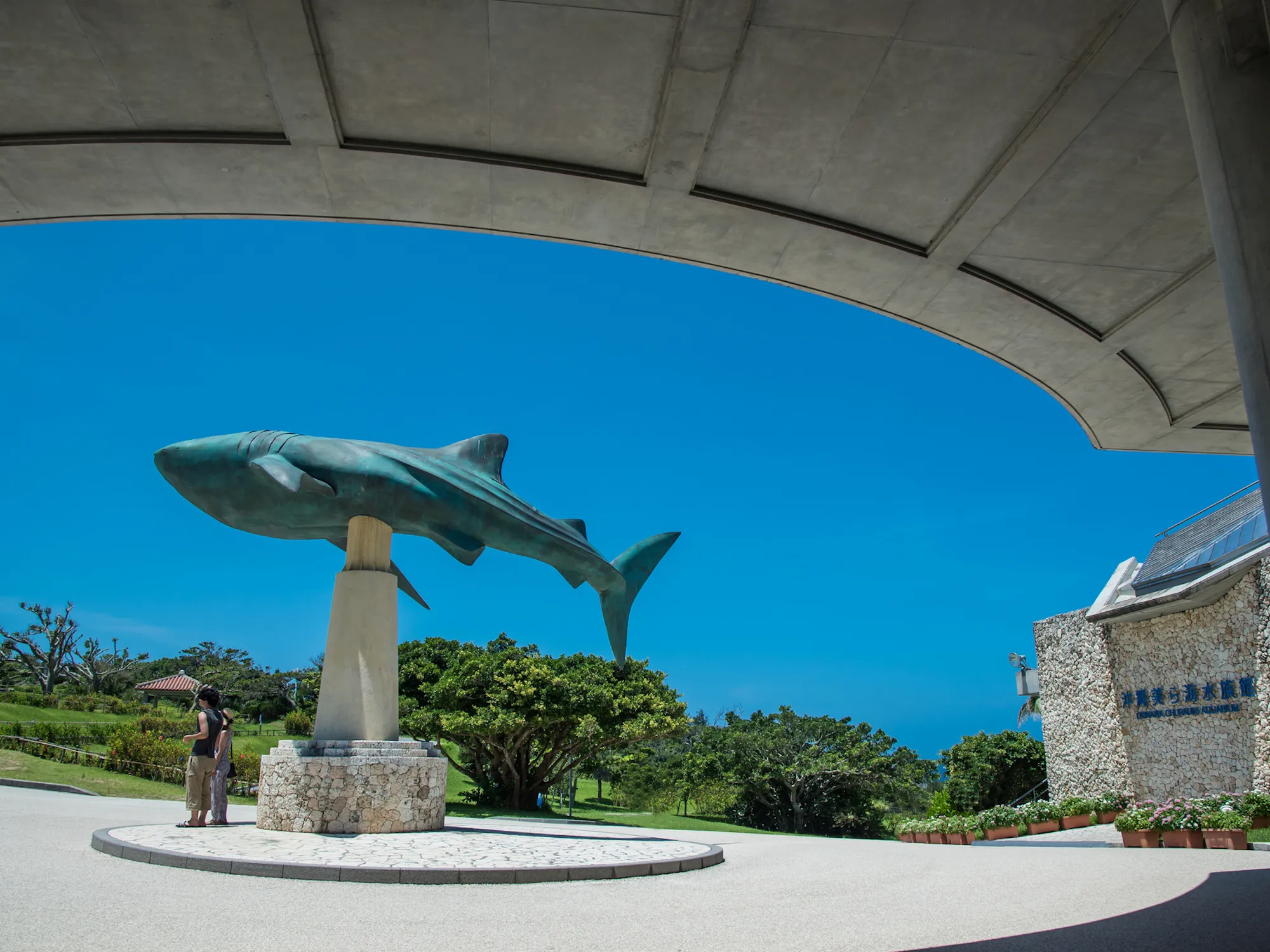 沖縄美ら海水族館入館券付きツアー特集