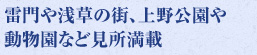雷門や浅草の街、上野公園や動物園など見所満載