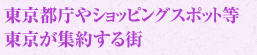 東京都庁やショッピングスポット等東京が集約する街