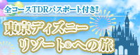 東京ディズニーリゾート&reg;パスポート付き