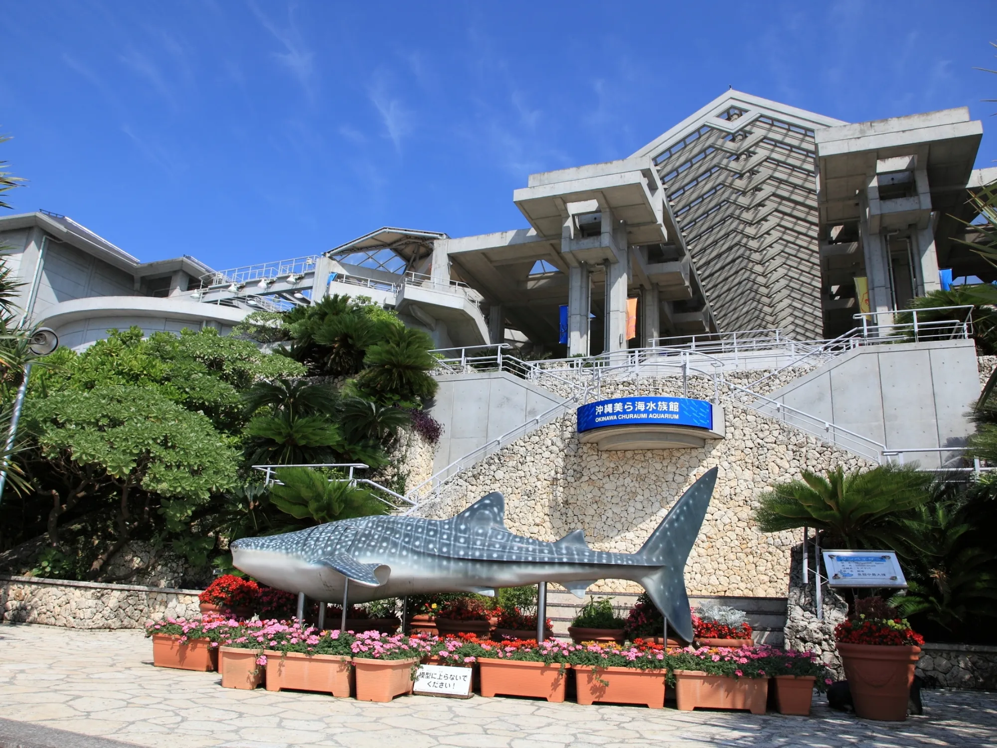 沖縄美ら海水族館、沖縄記念公園周辺の人気ホテル特集