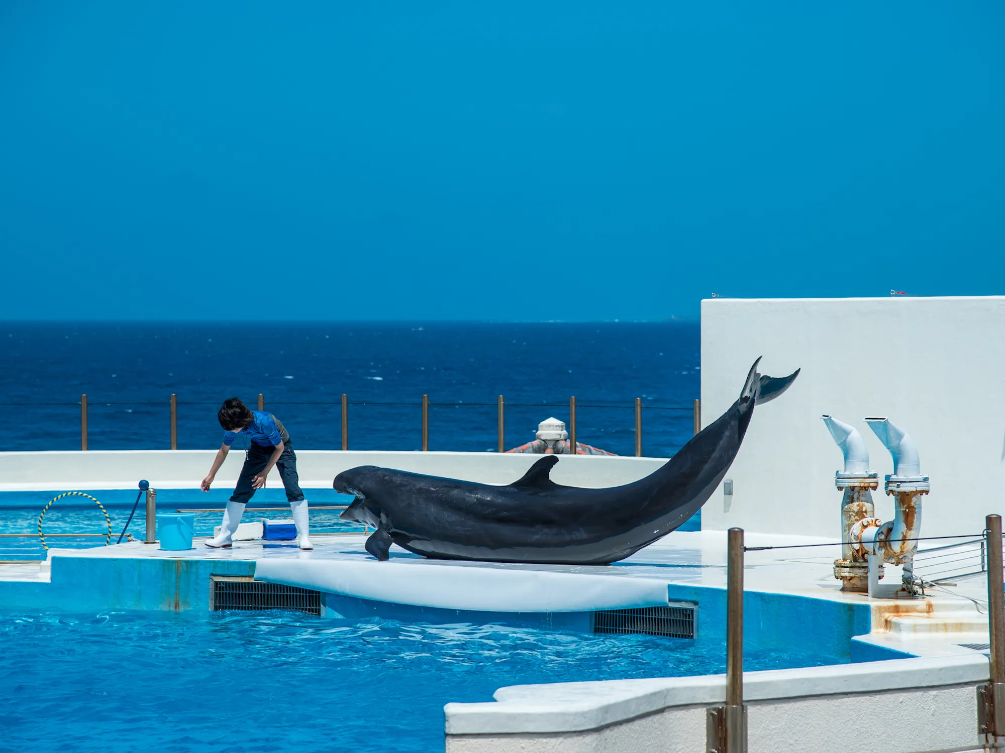 沖縄美ら海水族館、沖縄記念公園周辺の人気ホテル特集