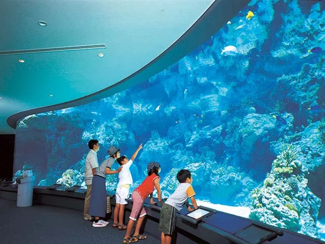 青の洞窟シュノーケリングツアー＆美ら海水族館付き
					沖縄フリープラン