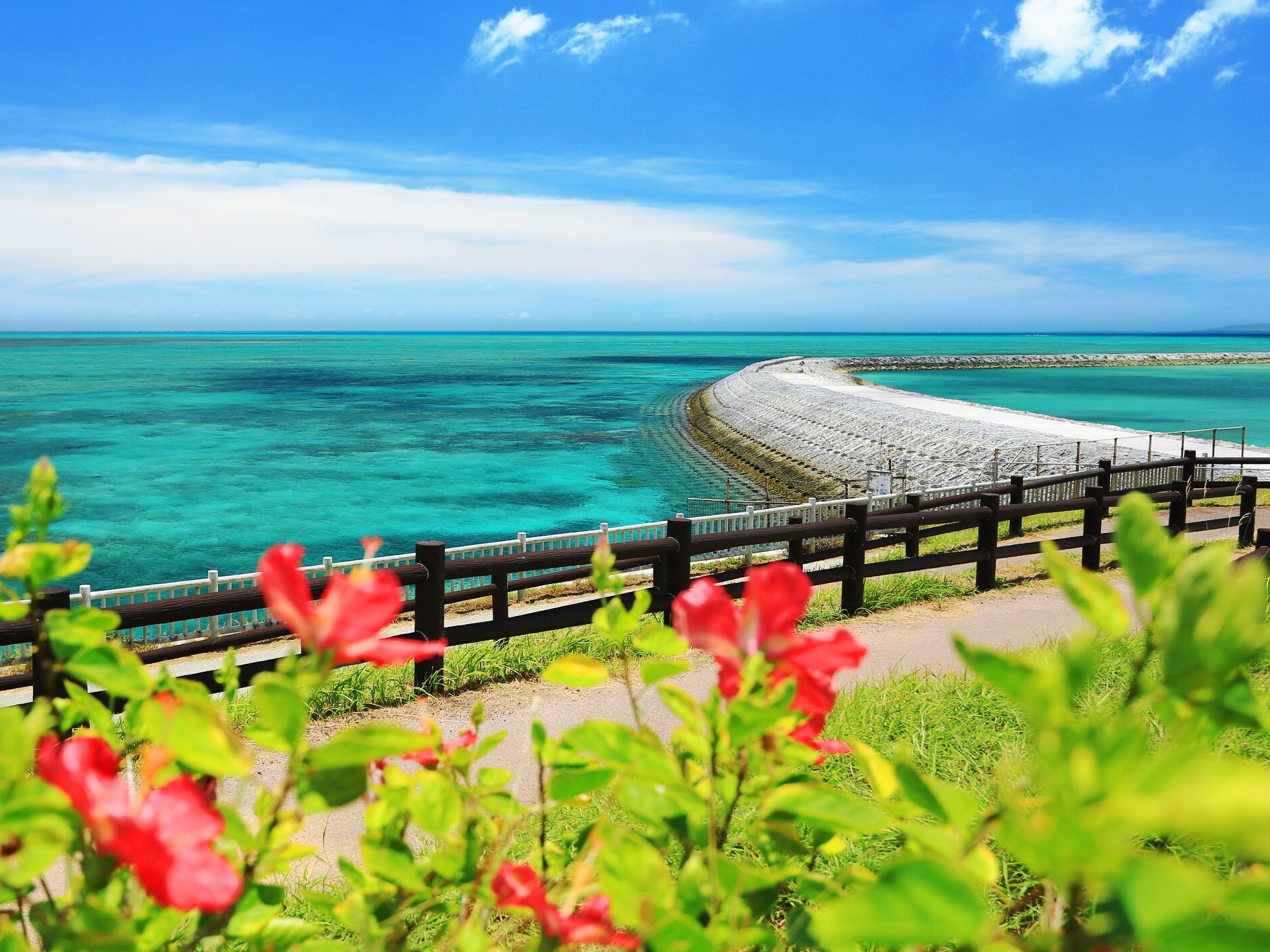 沖縄本島