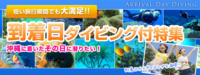 到着日ダイビング付特集