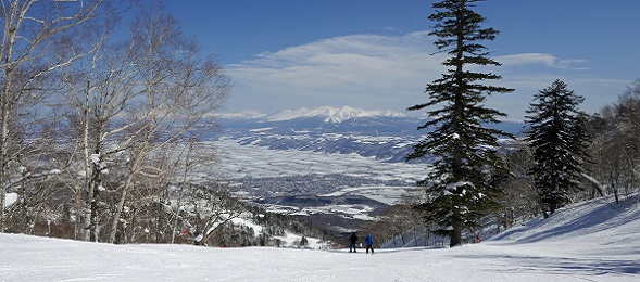 富良野スキー場