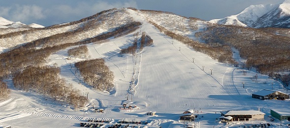 北海道 リフト券 割引 ニセコ 全山 ルスツ トマム 富良野 クーポン 格安チケット