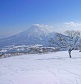 ニセコヒラフイメージ