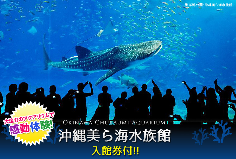 沖縄美ら海水族館