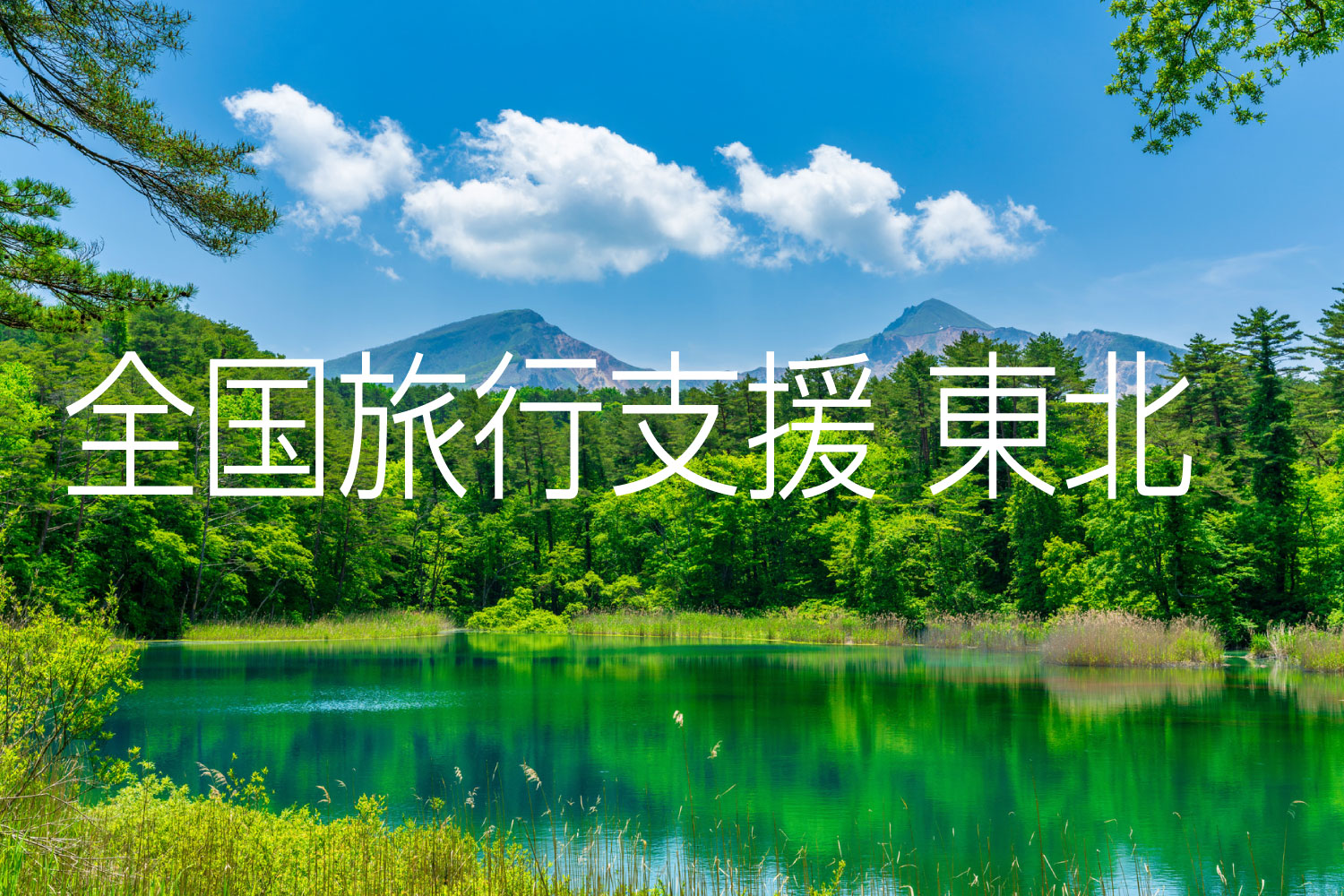 全国旅行支援